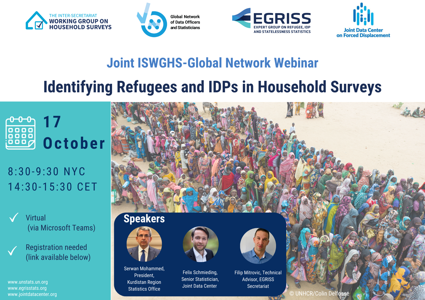 Webinar of Expert Group on Refugees, Internal Displaced Persons, and Statelessness Statistics (EGRISS) 